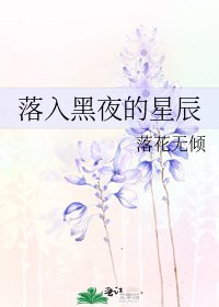 《落入黑夜的星辰》