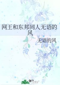 《网王和东邦同人无语的风》