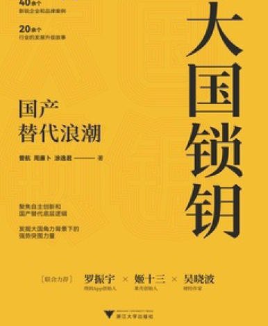 大國鎖鑰:國產替代馅超(出版書)